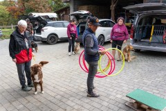 ADCP_EspoDog_20261004_010