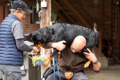 ADCP_EspoDog_20261004_061
