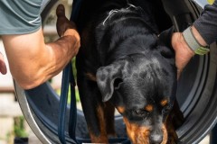 ADCP_EspoDog_20261004_077