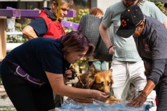 ADCP_EspoDog_20261004_092