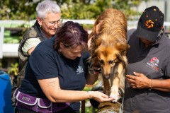 ADCP_EspoDog_20261004_154