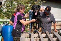 ADCP_EspoDog_20261004_161