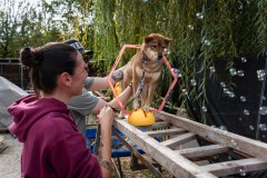 ADCP_EspoDog_20261004_192