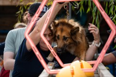 ADCP_EspoDog_20261004_213