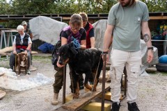 ADCP_EspoDog_20261004_215