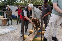 ADCP_EspoDog_20261004_218