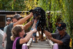 ADCP_EspoDog_20261004_227