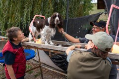 ADCP_EspoDog_20261004_236