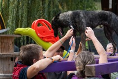 ADCP_EspoDog_20261004_249