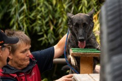 ADCP_EspoDog_20261004_251