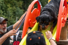 ADCP_EspoDog_20261004_254