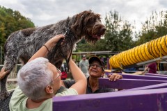 ADCP_EspoDog_20261004_264