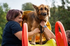 ADCP_EspoDog_20261004_294