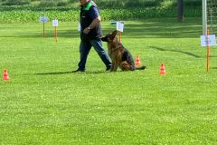 IMG-20250619-WA0026