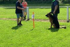 IMG-20250619-WA0029