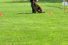 IMG-20250619-WA0033