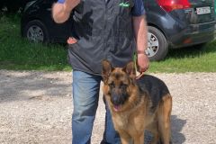 IMG-20250619-WA0038