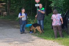 IMG-20250619-WA0041