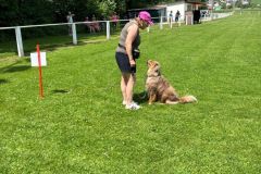 IMG-20250630-WA0004
