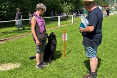 IMG-20250630-WA0010
