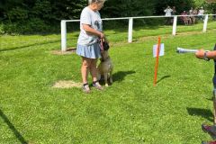 IMG-20250630-WA0012