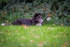 20251011_ADCP_Concours_007