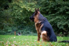 20251011_ADCP_Concours_010