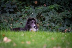 20251011_ADCP_Concours_011