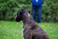 20251011_ADCP_Concours_022