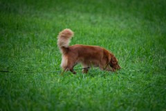 20251011_ADCP_Concours_047
