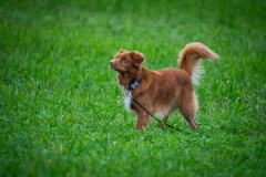 20251011_ADCP_Concours_048
