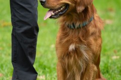 20251011_ADCP_Concours_149