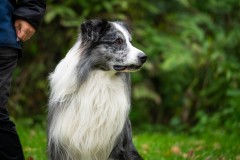 20251011_ADCP_Concours_151