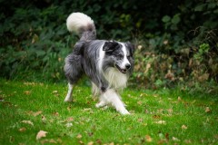 20251011_ADCP_Concours_154