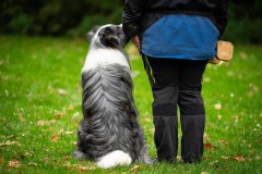 20251011_ADCP_Concours_155