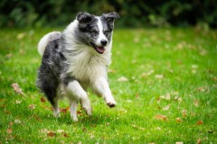 20251011_ADCP_Concours_159