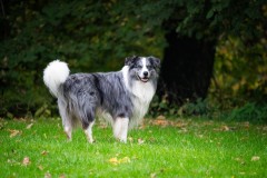 20251011_ADCP_Concours_160