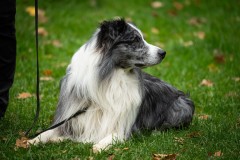 20251011_ADCP_Concours_161