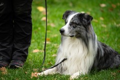 20251011_ADCP_Concours_162