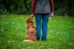 20251011_ADCP_Concours_163