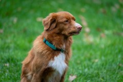 20251011_ADCP_Concours_165