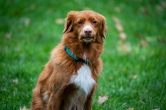 20251011_ADCP_Concours_166