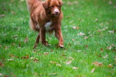 20251011_ADCP_Concours_169