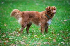 20251011_ADCP_Concours_170