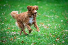 20251011_ADCP_Concours_171