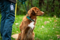 20251011_ADCP_Concours_172