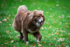 20251011_ADCP_Concours_176