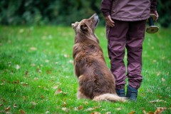 20251011_ADCP_Concours_177