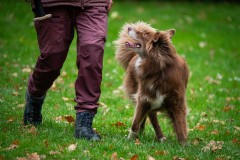 20251011_ADCP_Concours_178