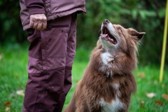 20251011_ADCP_Concours_184